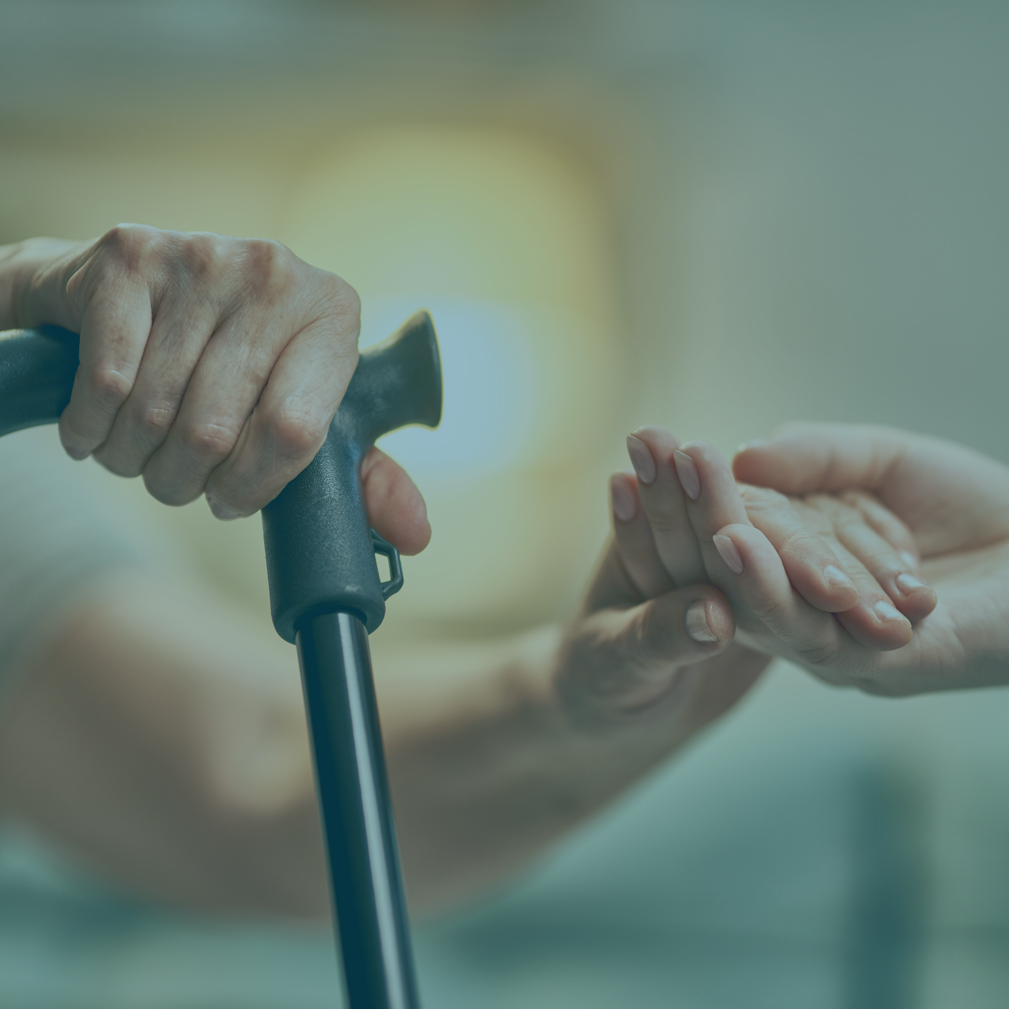Neurorehabilitación Adultos