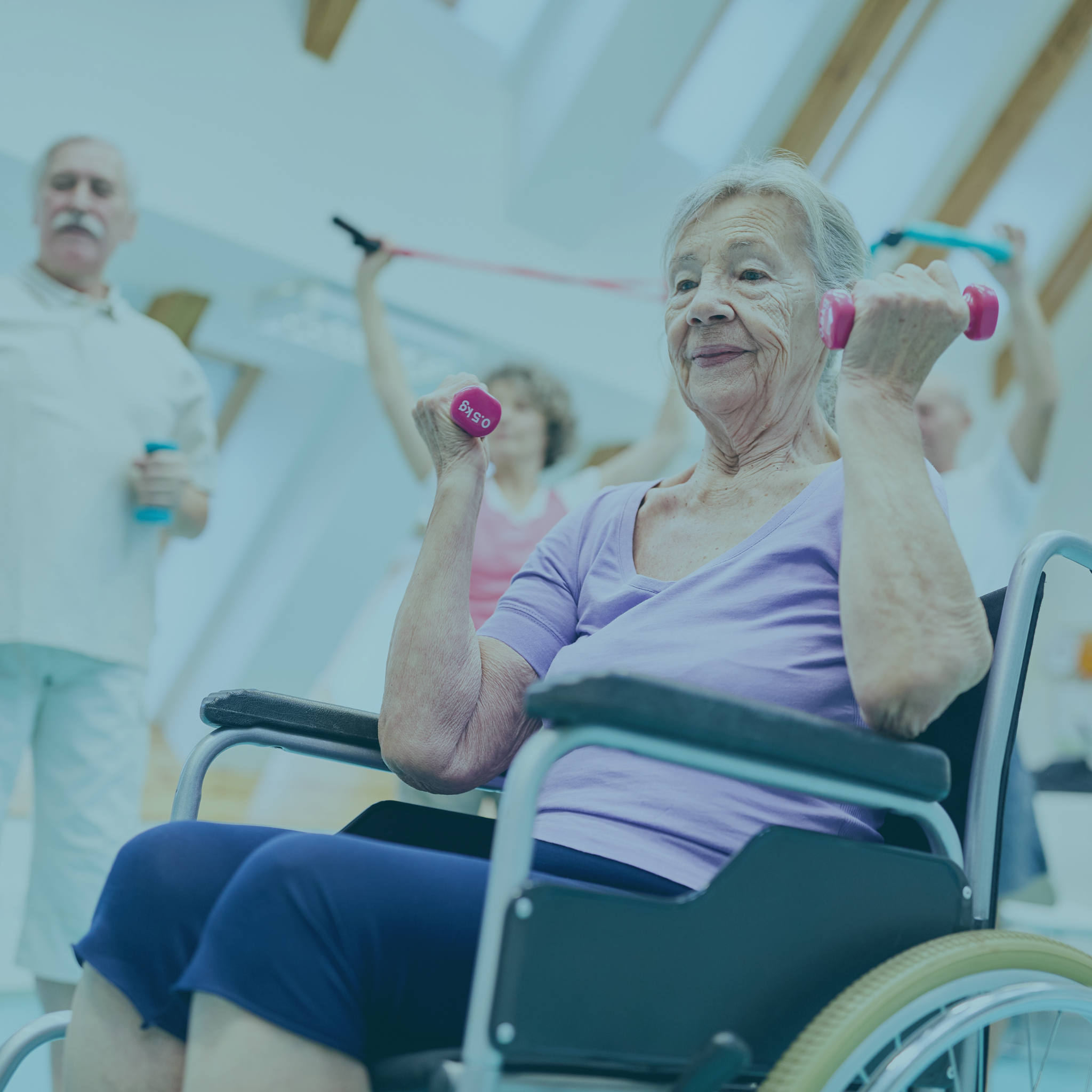 Otras Patologías (Kinesiología en traumatología del adulto mayor)